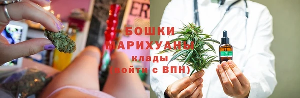 индика Алзамай