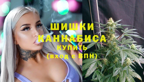 индика Алзамай