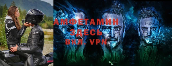 индика Алзамай