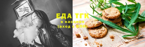 индика Алзамай