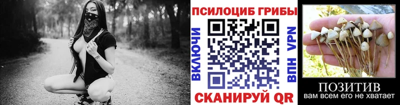 Псилоцибиновые грибы GOLDEN TEACHER  где продают наркотики  Гуково 